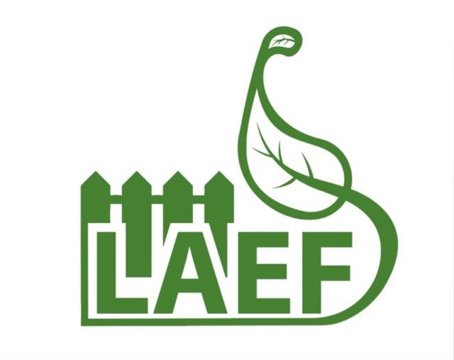 LAEF Logo